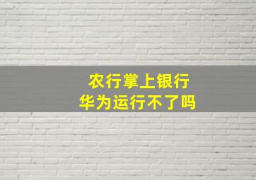 农行掌上银行华为运行不了吗