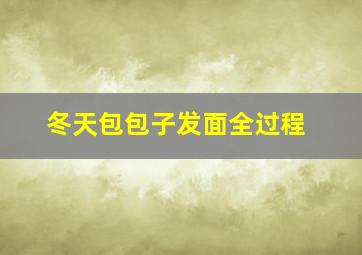 冬天包包子发面全过程