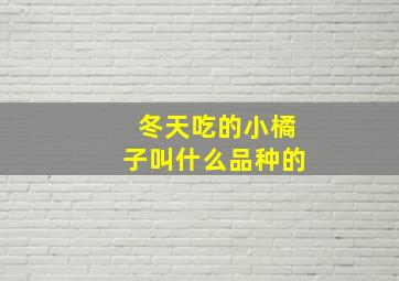 冬天吃的小橘子叫什么品种的