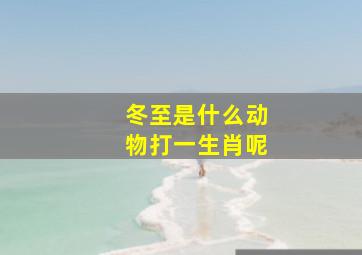 冬至是什么动物打一生肖呢