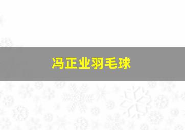 冯正业羽毛球