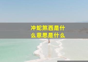 冲蛇煞西是什么意思是什么