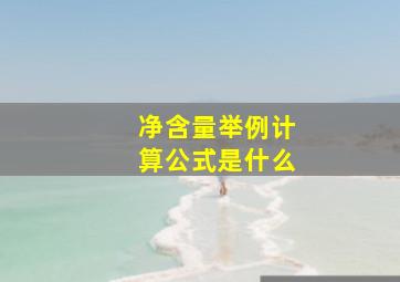 净含量举例计算公式是什么