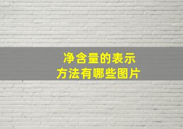 净含量的表示方法有哪些图片