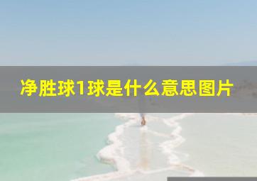 净胜球1球是什么意思图片