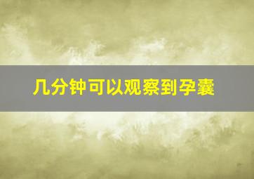 几分钟可以观察到孕囊