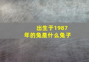 出生于1987年的兔是什么兔子