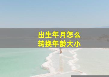 出生年月怎么转换年龄大小