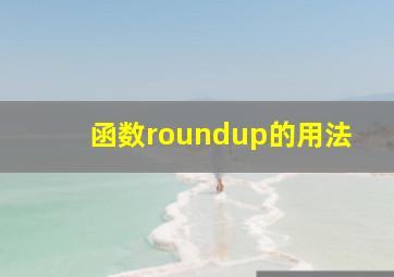 函数roundup的用法