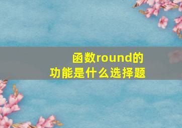 函数round的功能是什么选择题