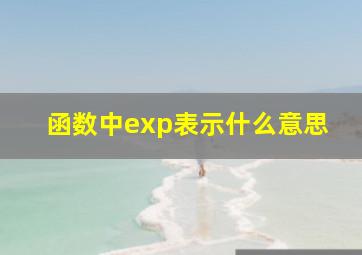 函数中exp表示什么意思