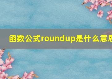 函数公式roundup是什么意思