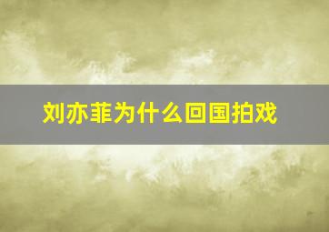 刘亦菲为什么回国拍戏