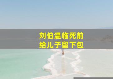 刘伯温临死前给儿子留下包