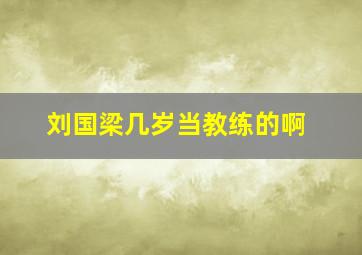 刘国梁几岁当教练的啊