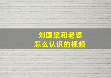 刘国梁和老婆怎么认识的视频