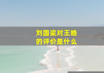 刘国梁对王皓的评价是什么