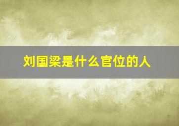 刘国梁是什么官位的人