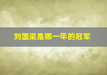 刘国梁是哪一年的冠军