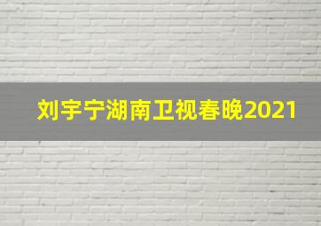 刘宇宁湖南卫视春晚2021