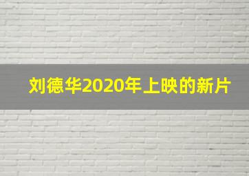 刘德华2020年上映的新片