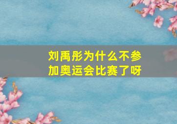 刘禹彤为什么不参加奥运会比赛了呀