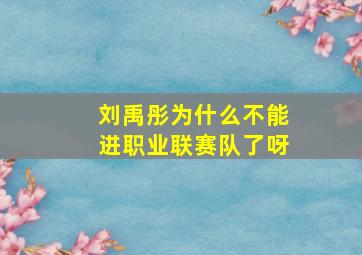 刘禹彤为什么不能进职业联赛队了呀