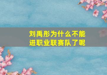 刘禹彤为什么不能进职业联赛队了呢