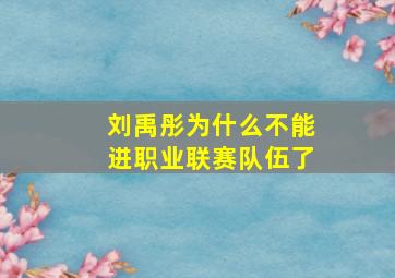 刘禹彤为什么不能进职业联赛队伍了