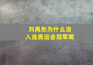 刘禹彤为什么没入选奥运会冠军呢