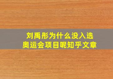 刘禹彤为什么没入选奥运会项目呢知乎文章