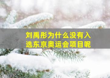 刘禹彤为什么没有入选东京奥运会项目呢