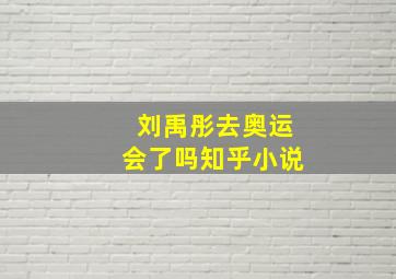 刘禹彤去奥运会了吗知乎小说