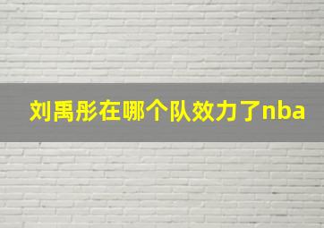 刘禹彤在哪个队效力了nba