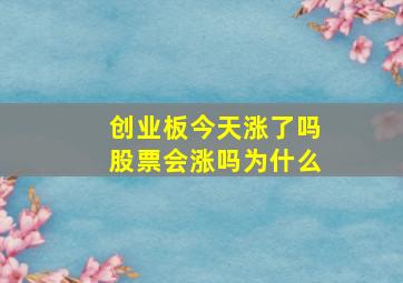 创业板今天涨了吗股票会涨吗为什么