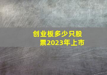 创业板多少只股票2023年上市