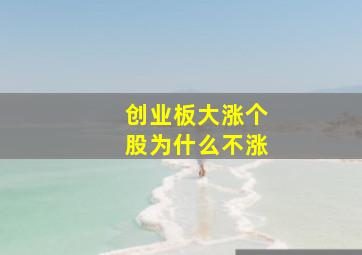 创业板大涨个股为什么不涨