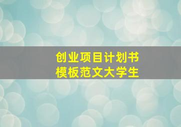 创业项目计划书模板范文大学生