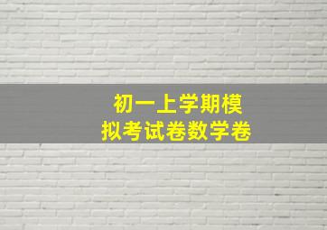 初一上学期模拟考试卷数学卷