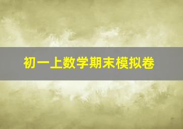 初一上数学期末模拟卷