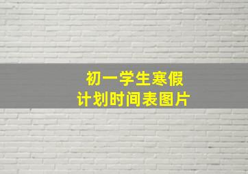 初一学生寒假计划时间表图片