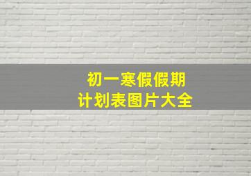 初一寒假假期计划表图片大全