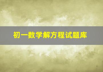 初一数学解方程试题库