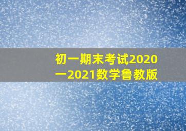 初一期末考试2020一2021数学鲁教版