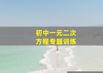 初中一元二次方程专题训练