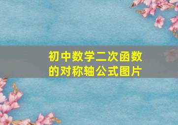 初中数学二次函数的对称轴公式图片