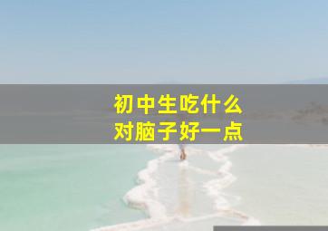 初中生吃什么对脑子好一点