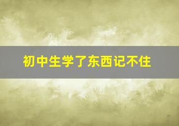 初中生学了东西记不住