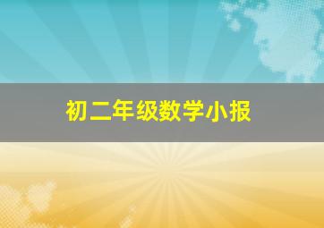 初二年级数学小报