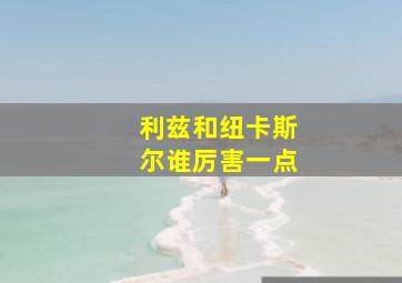 利兹和纽卡斯尔谁厉害一点